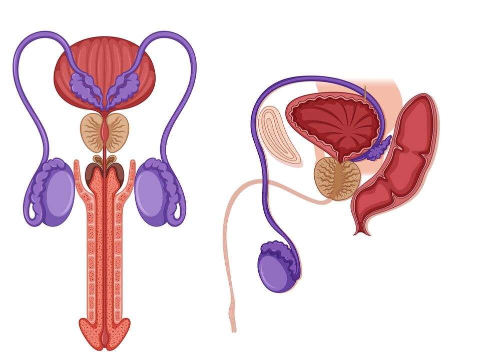 Prostatitis bei Männern